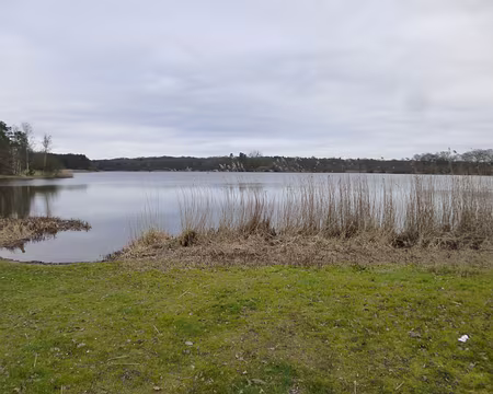 P1030815 L'étang de la Vallée en forêt d'Orléans