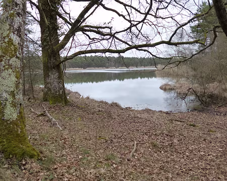 P1030825 Etang de Centimaisons