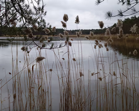 P1030827 Etang de Centimaisons