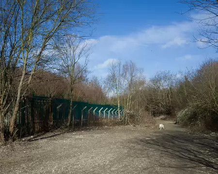 2017_02_03_12-24-13 Chien errant autour du fort de Rosny