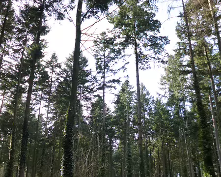 P1030856