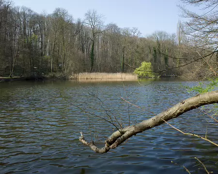 2017_03_26_15-13-44 Étang de Saint-Cucufa