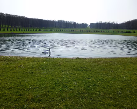 P1040082 Le grand bassin