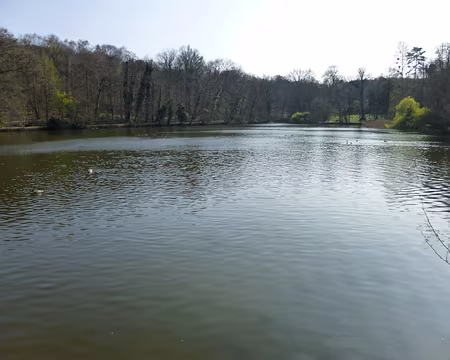 P1040094 L'étang de Saint-Cucufa, forêt domaniale de la Malmaison