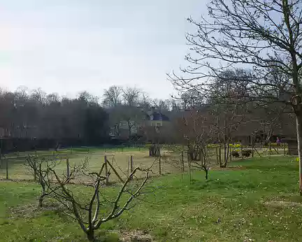 2017_03_12_10-54-27 Arboretum de Chatenay-Malabry