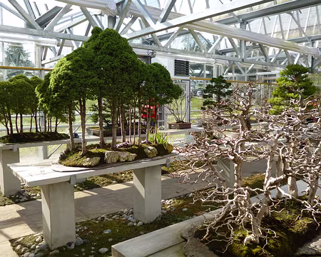 P1030879 Cet art très développé au Japon depuis la fin du XIXè s. signifie en transcription japonaise : 