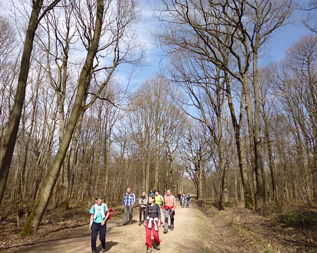 P1030887 Bois de Verrière...