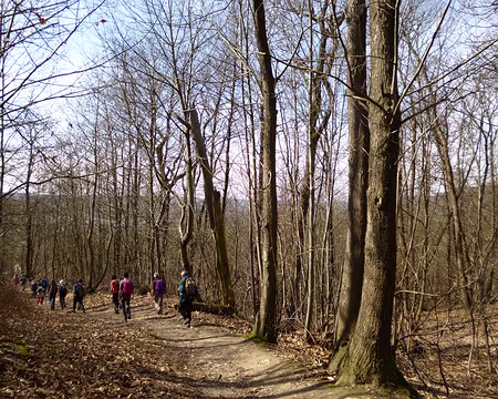 P1030889 ...dominant la vallée de la Bièvre.