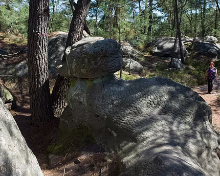 2017_04_09-14_07_43 Le même de dos