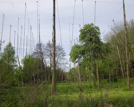 2017_04_30_09-56-46 Houblonnière