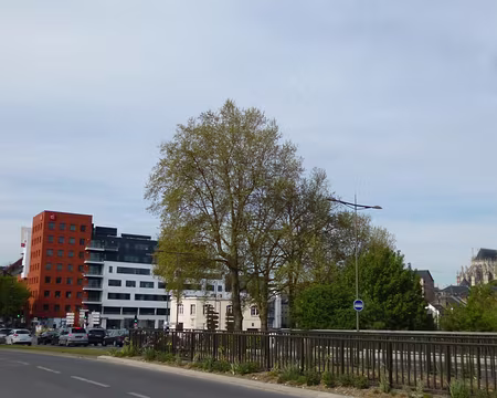 P1040322 La Tour Perret et la cathédrale