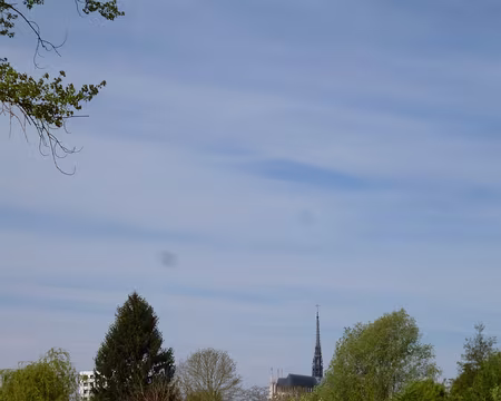P1040341 Vue sur la Cathédrale