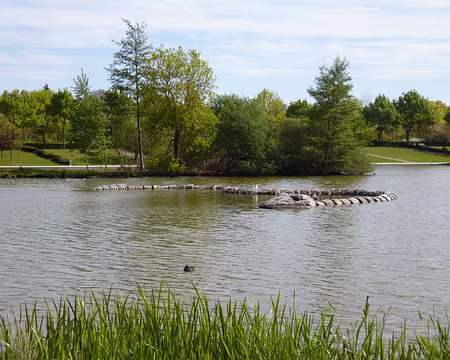 P1040347 Sculpture représentant un serpent de 40 mètres fabriqué à partir de coquilles Saint-Jacques. Oeuvre de Yolanda Gutiérrez, née en 1970 à Mexico.