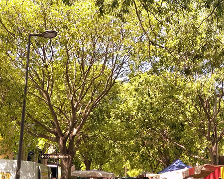 20 Le marché du samedi matin, un incontournable