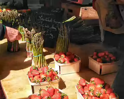 21 Délicieuses fraises de Carpentras