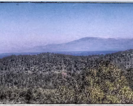 55 Au loin le Ventoux...