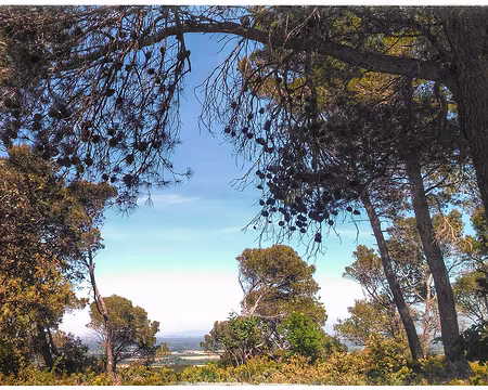 57 vue sur la plaine rhodanienne