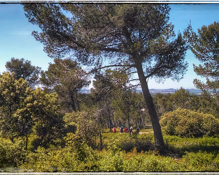 60 Au loin on apperçoit la Montagnette