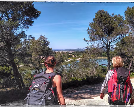 62 Canal du Vigueirat au pied des Alpilles (ouest)
