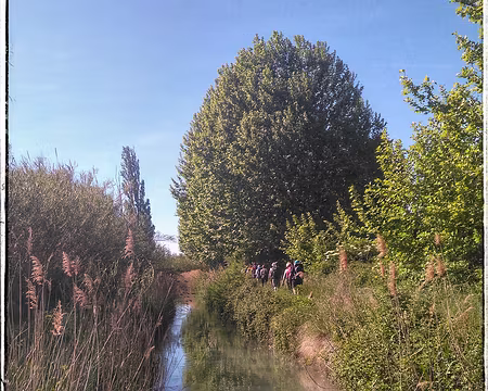 67 canal des Alpines