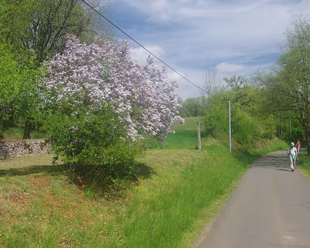 Près de Faycelles Près de Faycelles