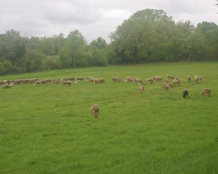 Entre Saint-Jean-de-Laur et Limogne-en-Quercy Entre Saint-Jean-de-Laur et Limogne-en-Quercy
