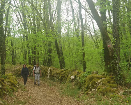 Près du refuge LPO de la Teule Près du refuge LPO de la Teule