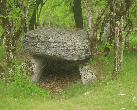 Dolmen du Joncas Dolmen du Joncas