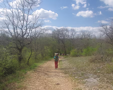 Entre Bach et Poudally Entre Bach et Poudally