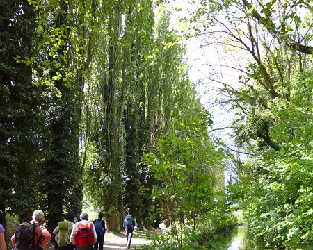 P1040290 Le long de l'Orge