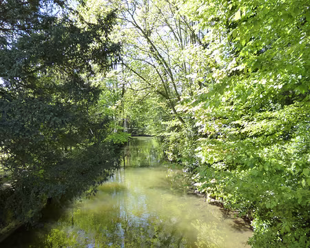 P1040310 L'Orge à Arpajon