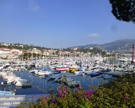 P1040202 Port de Saint-Jean-Cap-Ferrat