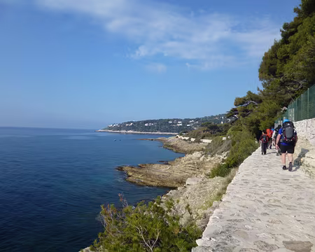 P1040204 Le sentier des douaniers fait le tour de la presqu'île.