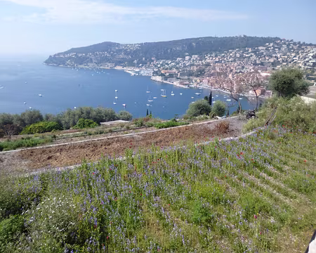 P1040214 La rade de Villefranche-sur-Mer