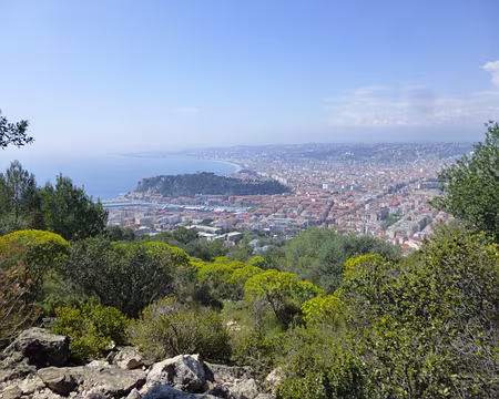 P1040226 ...et Nice.