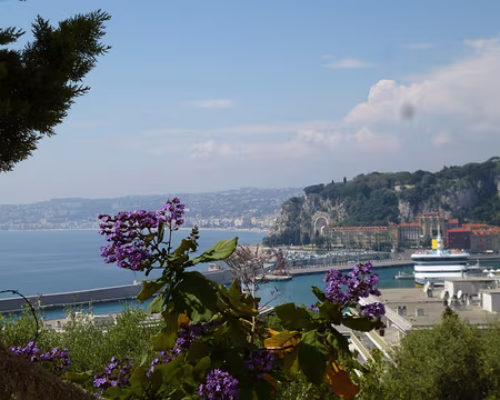 P1040229 La Baie des Anges et la colline du Château, Nice