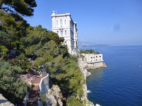 Dominique Dominique F, détail sortie