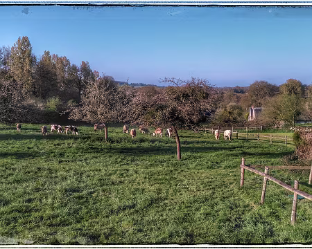 025 Vue du gîte, 16 04 17-01 Vue du gîte