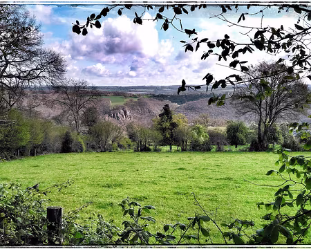 029 vers La Forêt Auvray-01 vers La Forêt Auvray