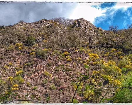 034 granit du massif armoricain-01 granit du massif armoricain