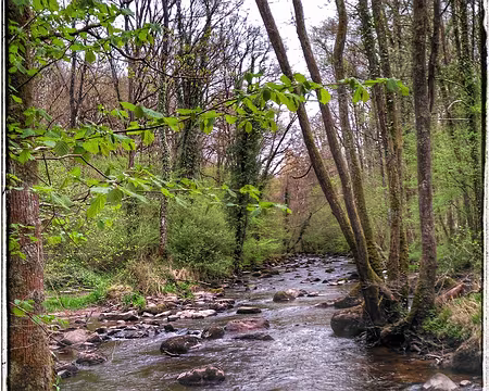 043 La Rouvre-01 La Rouvre