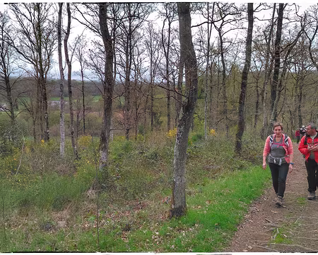 053 17 04 17 en route pour Condé sur Noireau-01 en route pour Condé sur Noireau