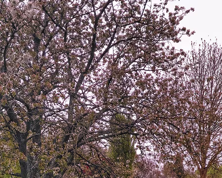 P_20170415_095514-01-01