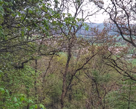 P_20170415_101203-01