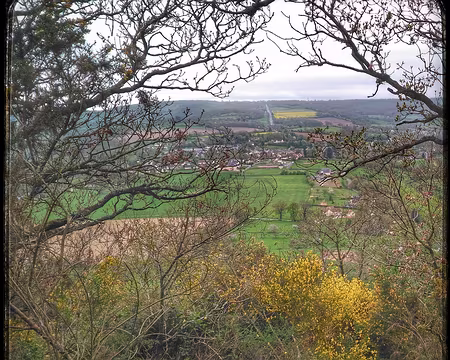 P_20170415_101533-01