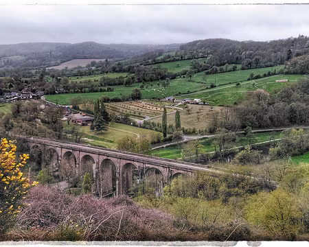 P_20170415_110111-01