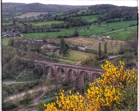 P_20170415_110605-01