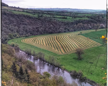 P_20170415_111813-02