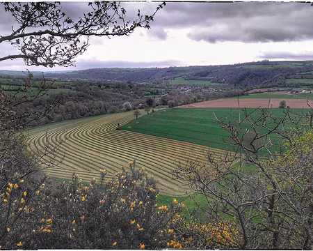 P_20170415_112239-01