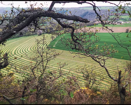 P_20170415_112445-01